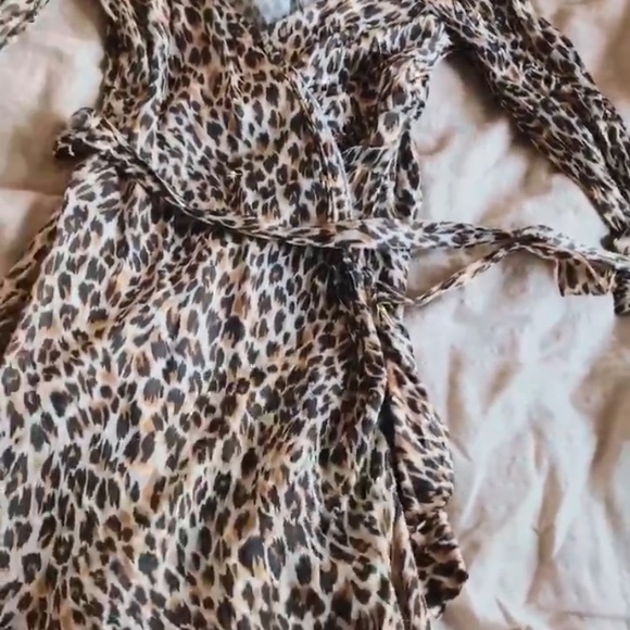 Revolve leopard dress - Picture 5 of 6